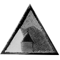 Camping Award Series - SpiralScouts