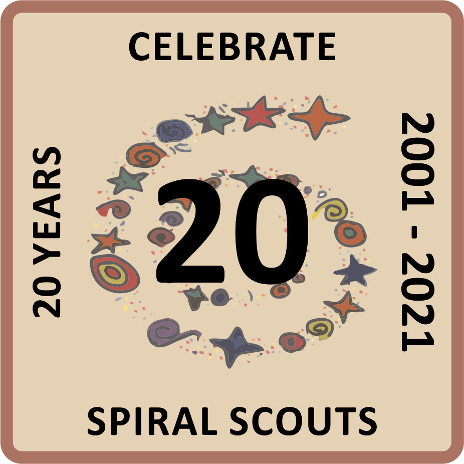 SpiralScouts Special Awards