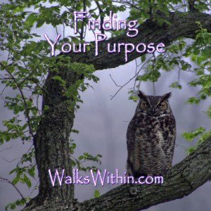 Finding Your Purpose: A Guided Meditation CD