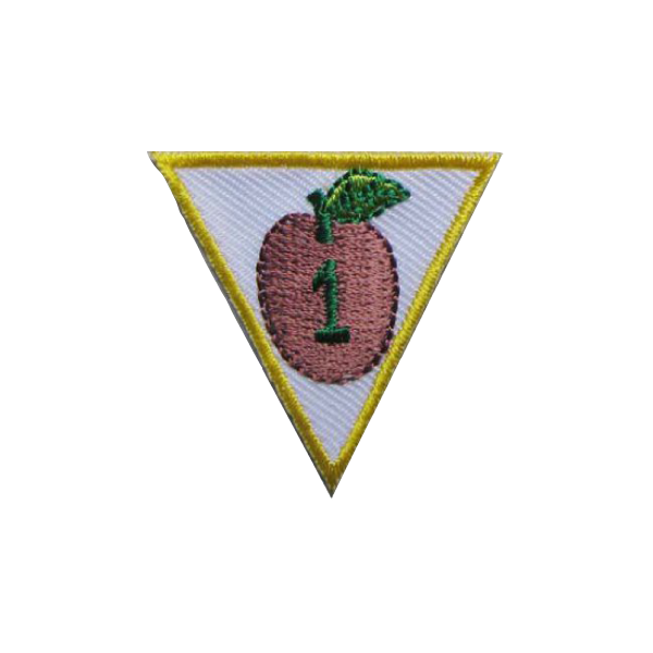 Academic Achievement Award - SpiralScouts