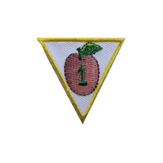 Academic Achievement Award - SpiralScouts