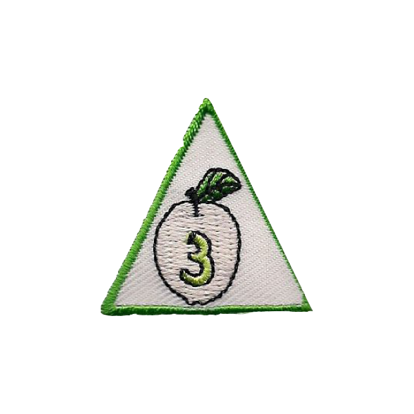 Academic Achievement Award - SpiralScouts