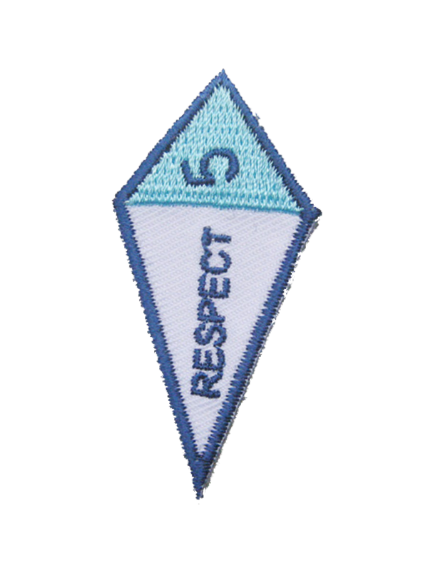 Spiral of Stars Award - SpiralScouts