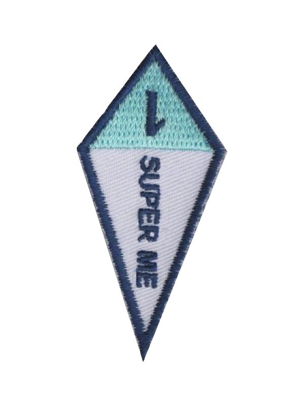 Spiral of Stars Award - SpiralScouts