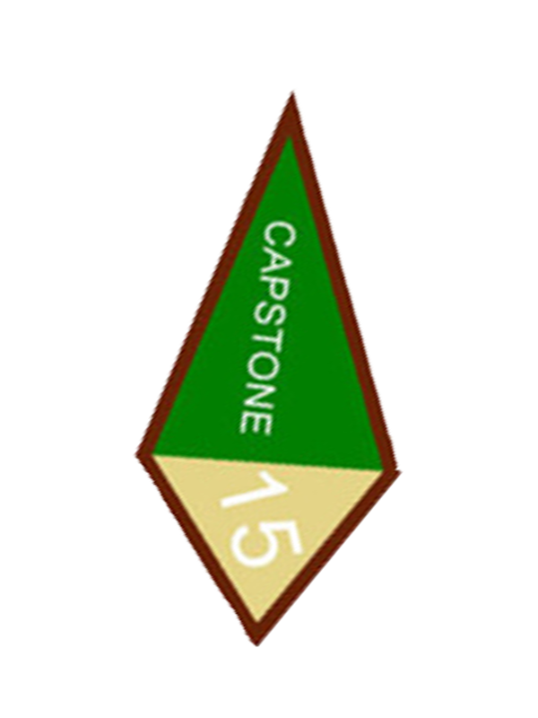 Spiral of Stars Award - SpiralScouts