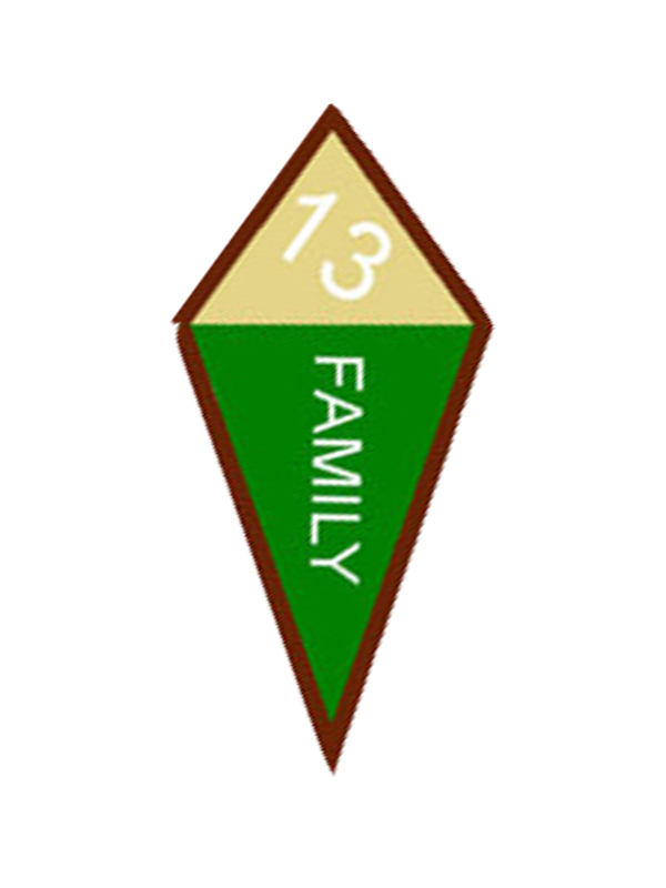 Spiral of Stars Award - SpiralScouts