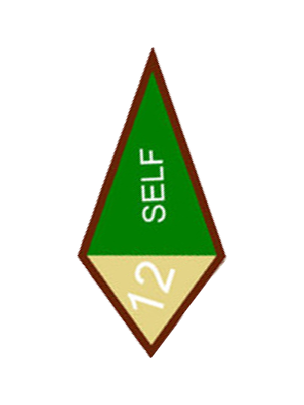 Spiral of Stars Award - SpiralScouts