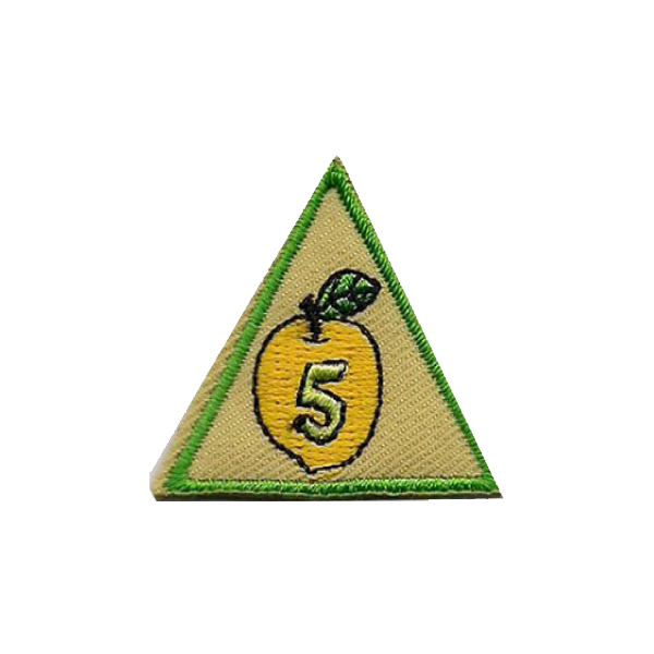 Academic Achievement Award - SpiralScouts
