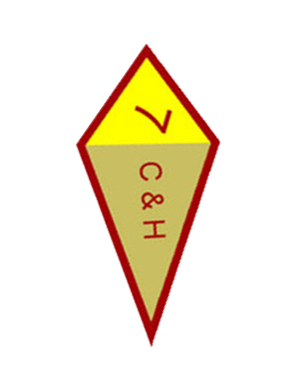 Spiral of Stars Award - SpiralScouts