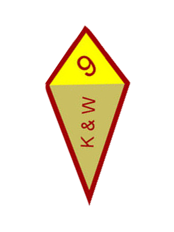 Spiral of Stars Award - SpiralScouts
