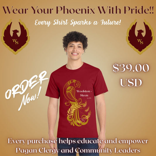 Woolston-Steen Theological Seminary T-shirt