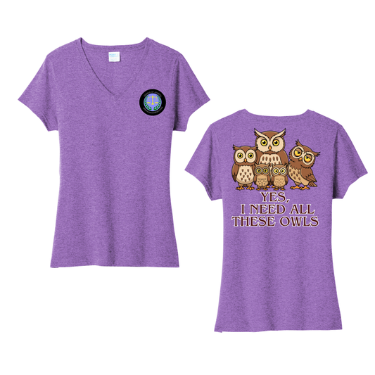 Temple of Athena T-shirt