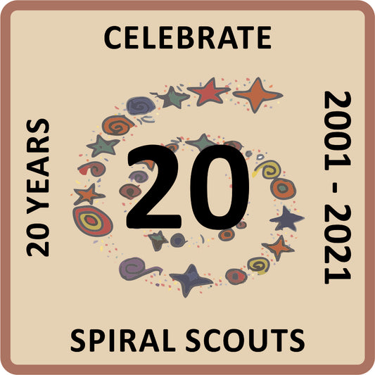 Special Awards - SpiralScouts