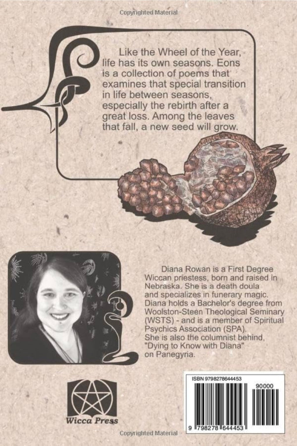 Back cover of Eons by Diana Rowan with book description and author biography