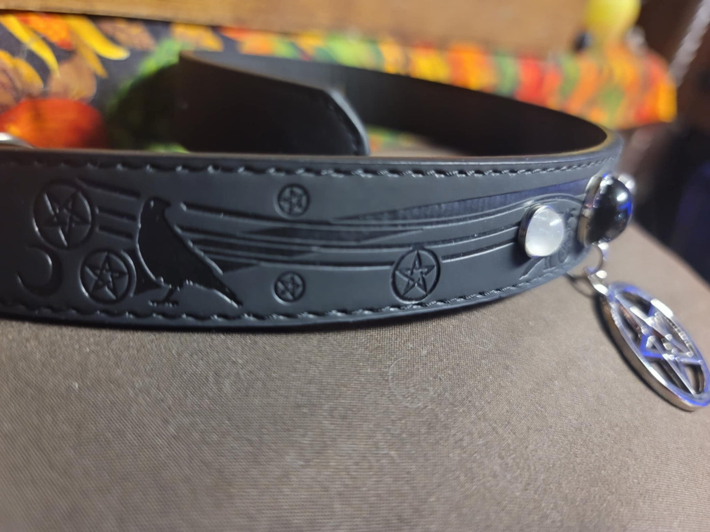 Pet Familiar Collars