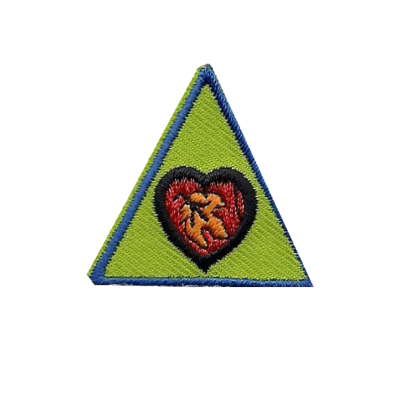 FireFly Level Badges - SpiralScouts