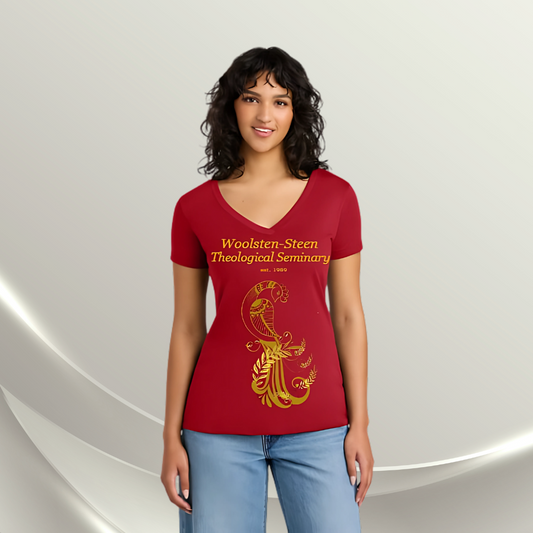 Woolsten-Steen Theological Seminary T-shirt