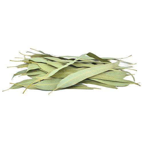 Herbs